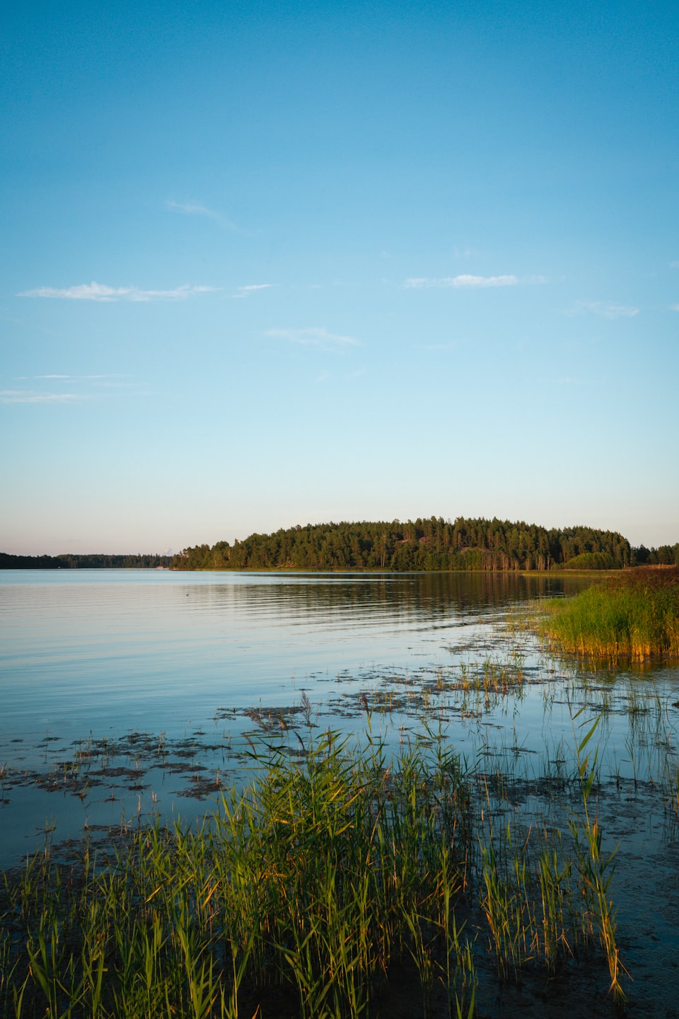 Lago calmo che riflette un cielo azzurro limpido accanto a una foresta verde.