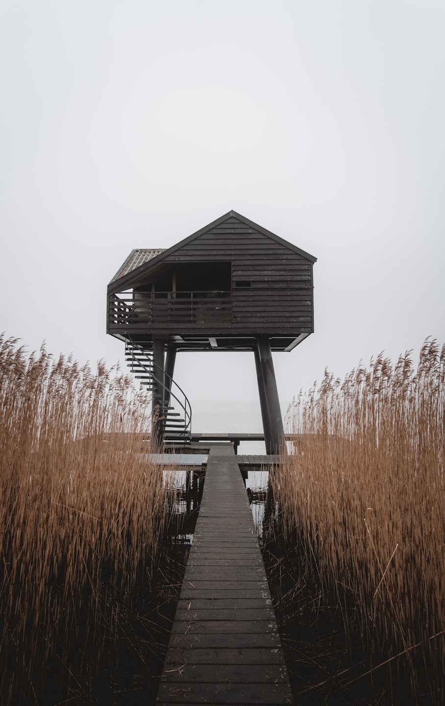 Capanna di legno per il birdwatching su palafitte, sull'acqua calma, raggiungibile tramite passerella.